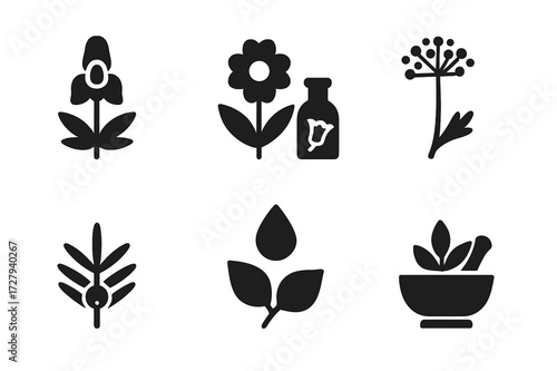 Botanical Toxin Icons. Solid, filled icon set of botanical toxins: wolfsbane alkaloid, belladonna extract, datura tincture, hemlock oil, yew sap, poison sumac