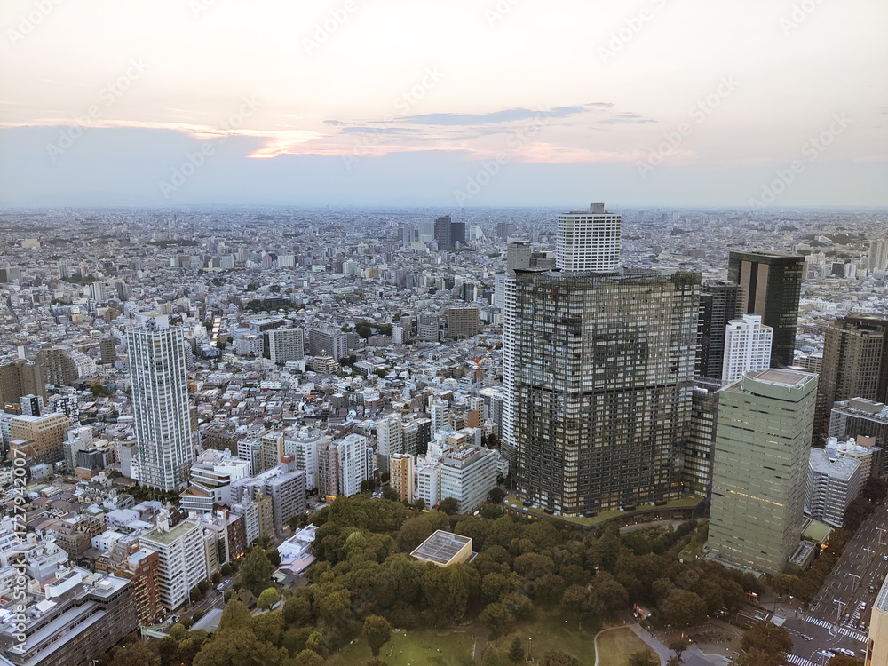 Obraz premium 夕暮れの柔らかい光が残る広大な都市の街並みを高層ビル群の上空から見下ろした風景写真中心の公園の緑が都会の密集した建築群の中で際立つ