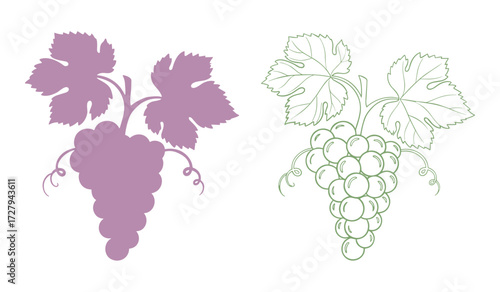 Purple grape cluster silhouette and green outline grape bunch with leaves grapes fruit