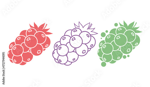 Three bunches of berries in red purple and green fruit
