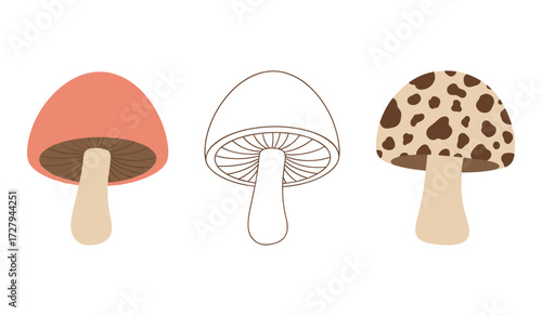 Three cartoon mushrooms one red one outline one spotted fungi illustration