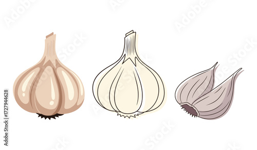 Three illustrations of garlic bulbs and cloves on a white background food