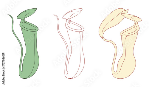 Three Nepenthes Pitcher Plants in Outline and Color carnivorous plant insectivorous plant