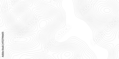 Abstract minimal The pattern discovery vector topo map creative discovery White wave grid stripe line map topography. vector geographic contour mounted map background.	