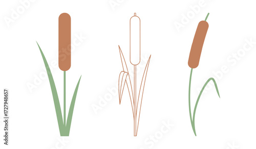 Three stylized cattails with green leaves on white background bulrush reed