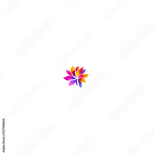 colorful flower isolated on white