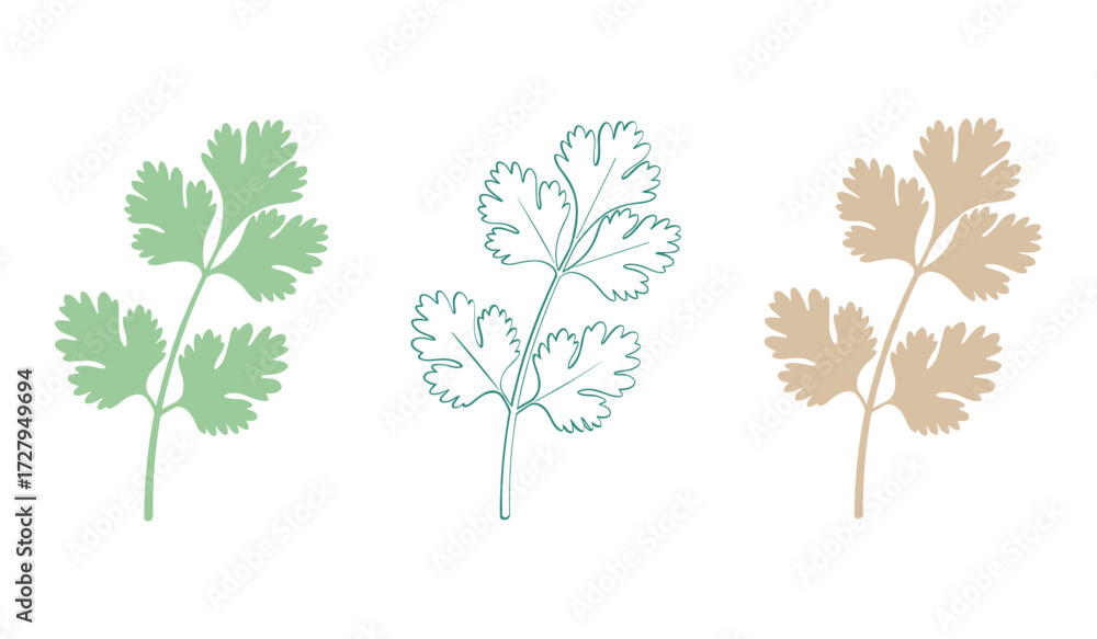 Fototapeta premium Three stylized cilantro sprigs in pastel green teal and beige on white background herb leaf