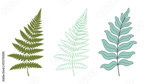 Three stylized fern fronds in green and teal on white background plant leaf