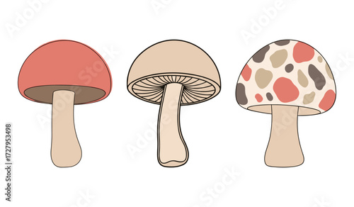 Three stylized mushrooms with rounded caps and stems in muted earthy tones fungi illustration