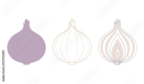 Three stylized onions one solid color one outline one cross section vegetable food