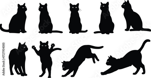 Black cat silhouettes collection, sitting walking stretching playful feline poses, domestic pet vector illustration, animal outline shapes, graphic design elements, decoration icons