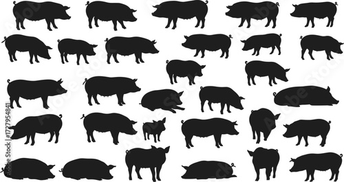 Black pig silhouettes collection, farm animal vector illustration, domestic livestock shapes, walking standing eating sleeping pigs, baby piglet icons, graphic design elements