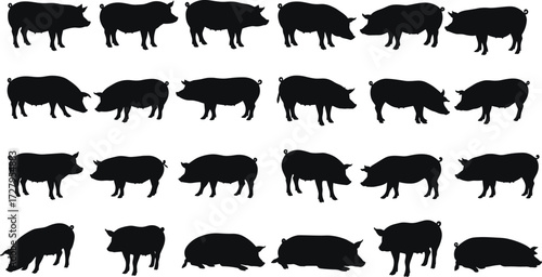 Black pig silhouettes collection, farm animal vector illustration, domestic livestock shapes, walking standing eating sleeping pig icons, graphic design elements