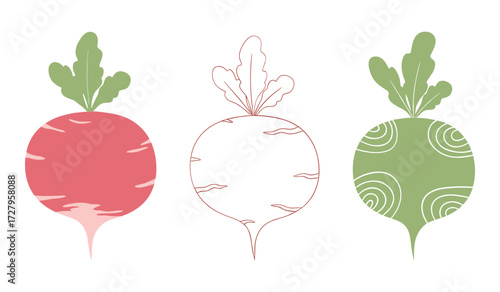 Three stylized radishes in red green and outline on white background beet root vegetable
