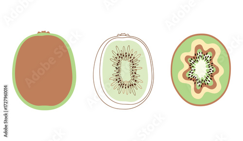 Whole and sliced kiwi fruit illustration with brown green and cream colors whole fruit sliced fruit