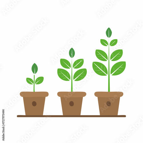Plant growth stages in flower pots showing a step-by-step process of development and progress