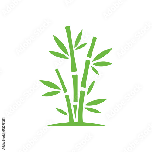 Minimalist green bamboo stems and leaves are featured against a clean white background