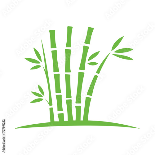 Lush green bamboo shoots and leaves are thriving against a clean white background