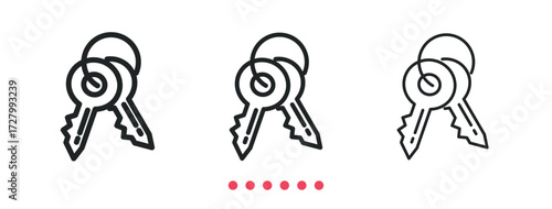 Key icon. Thin line icon vector