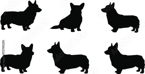 Silhouette collection of corgi dogs in different poses, cute pet animal illustration, Welsh corgi breed design, domestic dog vector graphic