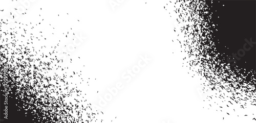 Abstract Black and White Texture with Grainy Particles