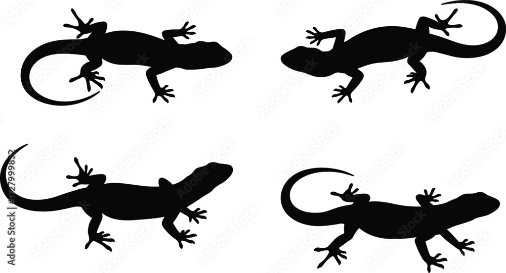 Naklejka premium Silhouette of lizards in different poses, black reptile vector illustration, gecko crawling design, exotic animal outline graphic, isolated wildlife artwork