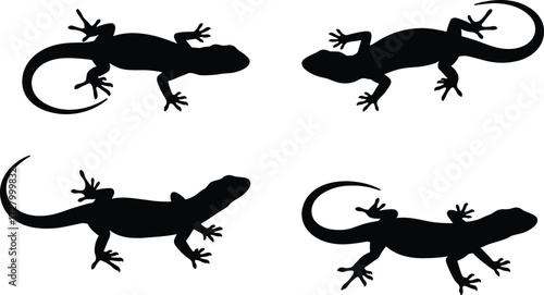Silhouette of lizards in different poses, black reptile vector illustration, gecko crawling design, exotic animal outline graphic, isolated wildlife artwork
