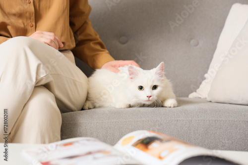 Woman with cute white cat s...