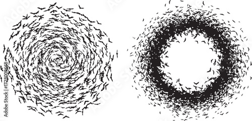 Two Swarms of Flying Bat Silhouettes in Spiral and Circular Formations on a White Background