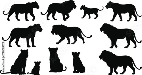 Silhouettes of lions, lionesses and cubs, African wildlife vector illustration, big cat predator family, jungle animal design, wild nature artwork