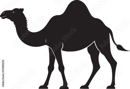  Desert Camel Silhouette Vector Illustration