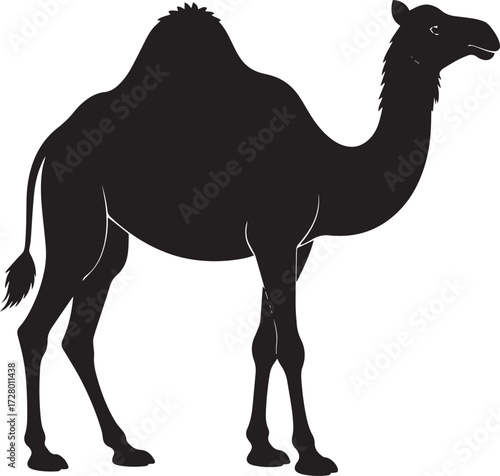  Desert Camel Silhouette Vector Illustration