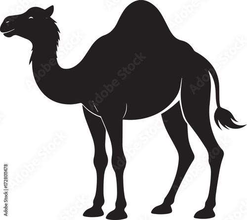  Desert Camel Silhouette Vector Illustration