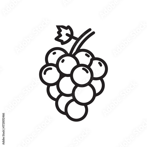 Isolated outline shows a cluster of grapes with a stem on white background