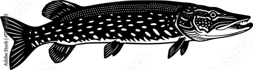 NORTHERN PIKE FISH SILHOUETTE ON WHITE BACKGROUND
