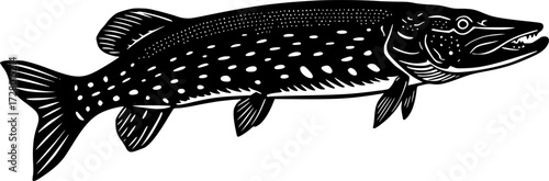 NORTHERN PIKE FISH SILHOUETTE ON WHITE BACKGROUND
