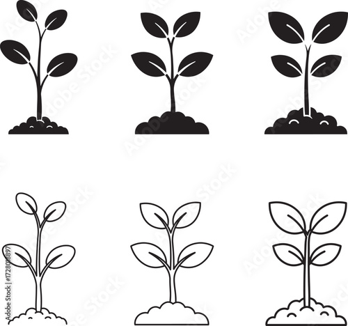 Six stylized illustrations of seedlings growing from soil in a grid layout
