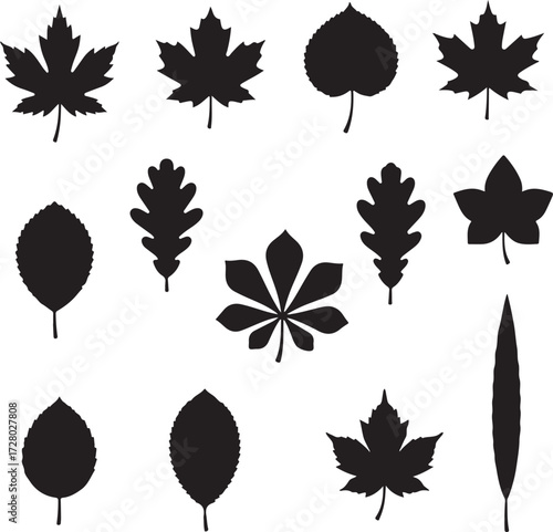 Leaf Silhouette Collection: An artistic assortment of meticulously crafted leaf silhouettes, showcasing an array of distinctive shapes and sizes in an elegant, minimalistic style.