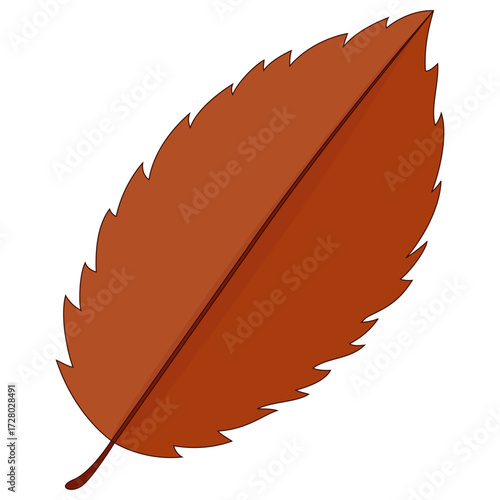 Illustration of a single brown autumn leaf