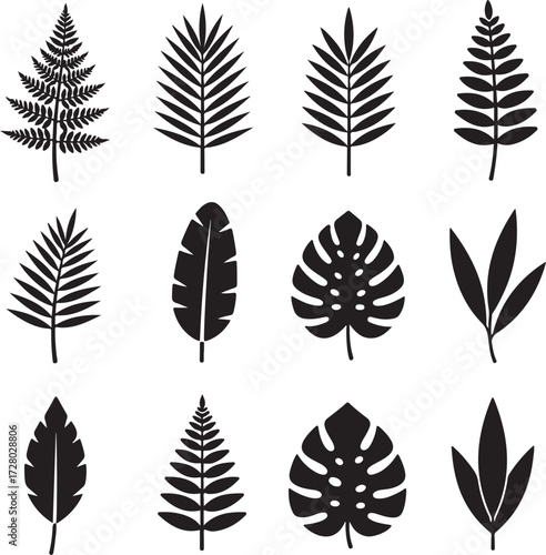 Botanical Silhouette Collection: A meticulously curated assortment of stylized botanical illustrations, each silhouette meticulously capturing the graceful essence of various leaf forms.