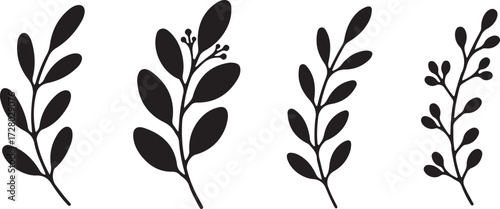 Botanical Collection: Simple and stylish botanical illustrations perfect for a variety of design projects. Clean, contemporary, and versatile, this image brings the beauty of nature to any project.