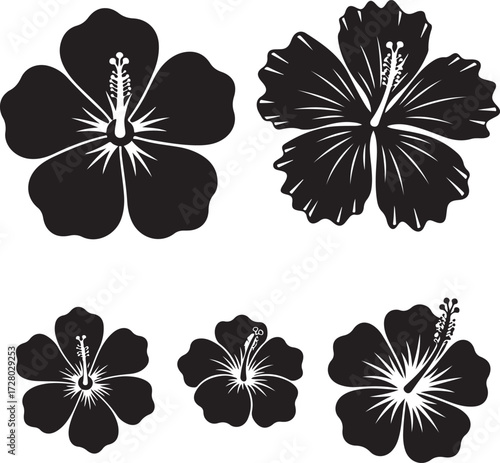 Hibiscus Silhouette: A collection of elegant hibiscus flower silhouettes, each petal perfectly defined, creating a harmonious display of floral grace and beauty.