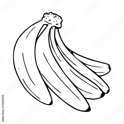 tropical bunch of bananas outline for coloring