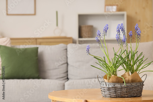 Metal basket with Muscari f...