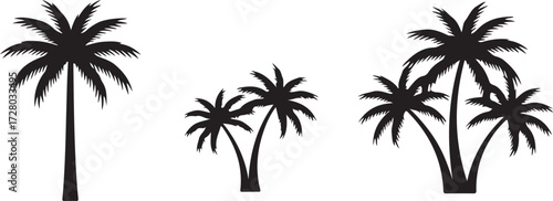 Silhouette of Palm Trees: Three groups of silhouettes of tropical palm trees stand tall against a bright backdrop. The elegant silhouettes evoke a sense of a summer escape.