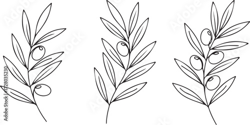 Olive Branch Trio: A stylized illustration of three olive branches, showcasing the elegant simplicity of nature's gift, with an artistic rendering of leaves and olives.
