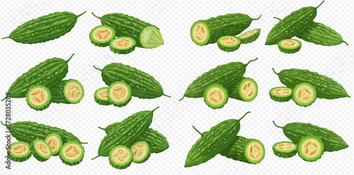Collection of fresh green bitter gourds, whole, halved, and sliced, showcasing their unique bumpy texture and inner flesh.
