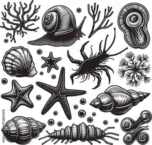 sea animal black silhouette art transparent background design stock photos premium quality