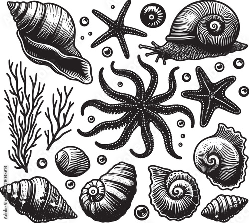 sea animal black silhouette art transparent background design stock photos premium quality
