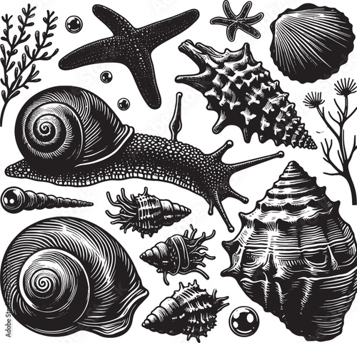 sea animal black silhouette art transparent background design stock photos premium quality